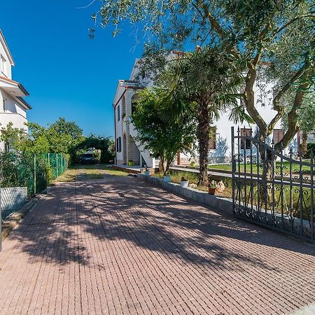 Apartments Dino بوريتش المظهر الخارجي الصورة